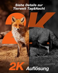 iZEEKER 4G vadkamera 2K felbontással, láthatatlan LED-ekkel és SIM kártyával 5