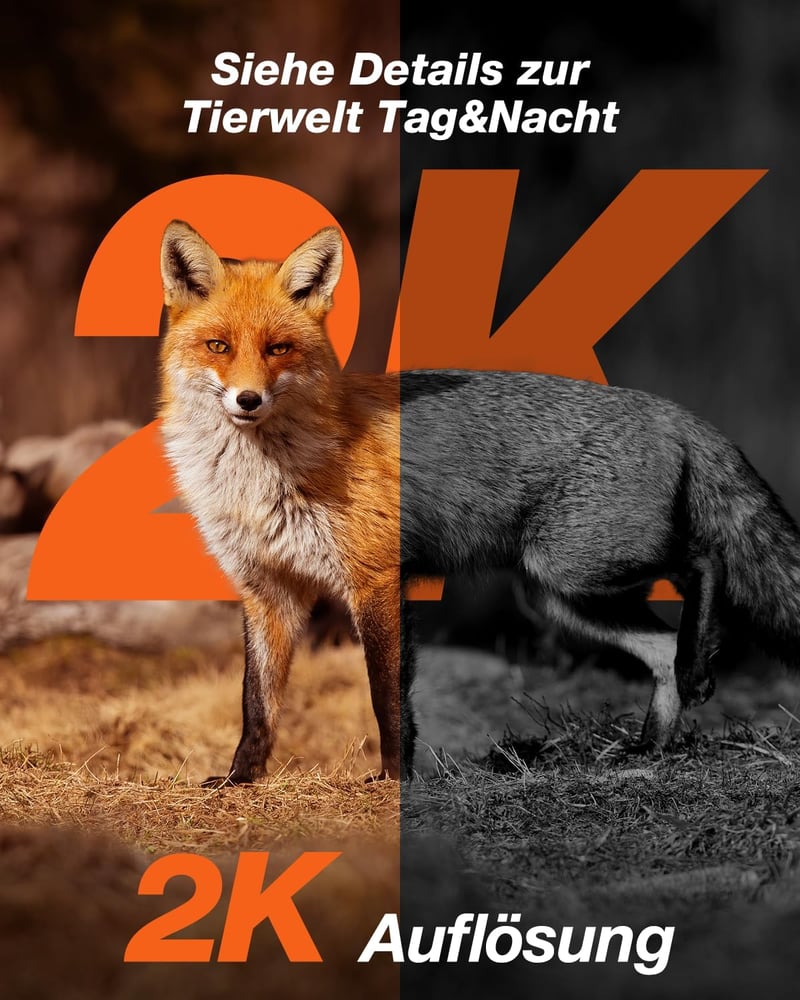 iZEEKER 4G vadkamera 2K felbontással, láthatatlan LED-ekkel és SIM kártyával