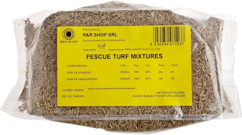 Tartós Festuca Arundinacea fűmag 500g - 20m² területre, R&R SHOP