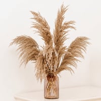 GOALS Pampafű Csokor 10 db Barna Boho Dekoráció 60 cm Száraz Virágcsokor Esküvői és Őszi Otthoni Dísz 1