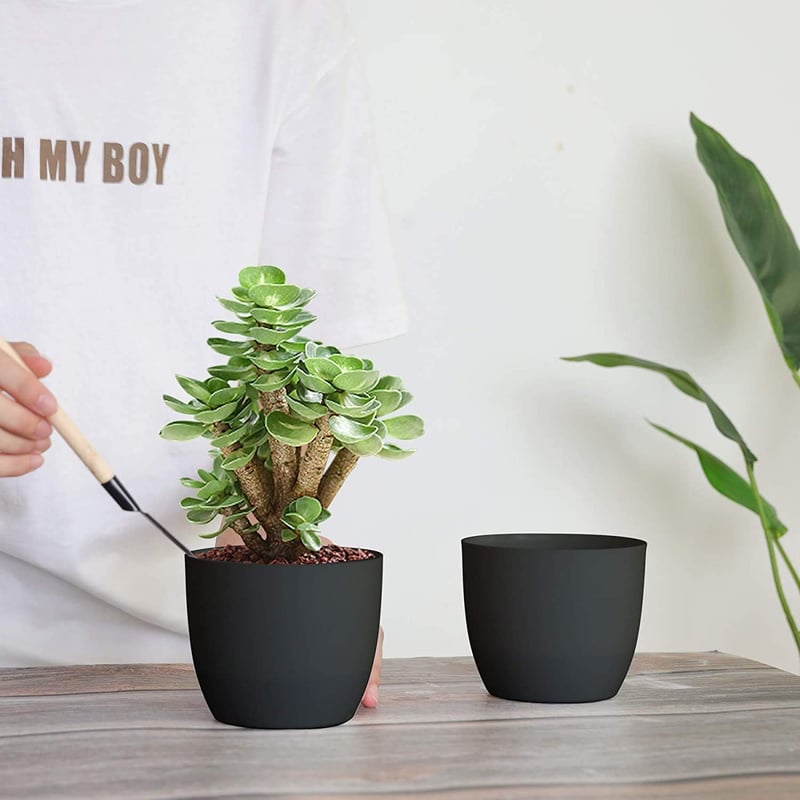 T4U 12 cm-es önöntöző virágcserép szett, 10 db fekete kaspó orchideákhoz, fűszernövényekhez