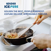 GOLDEN ICEPURE Aktivált szénszűrő Siemens LZ53251, Bosch DHZ5325, Neff Z5101X1 2db 10