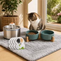 Balíček pre mačičky: umývateľná podložka + 4x uhlíkový filter + dvojmiska s dreveným stojanom 1