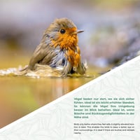 WILDLIFE FRIEND Álló Madáritató Kertbe és Erkélyre - Fagyálló Öntöttvas Víztál Madaraknak, Méheknek, Rovaroknak, Barna Színben 5