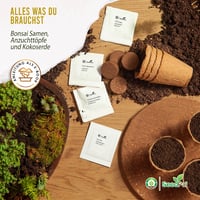 Bonsai Nevelő Készlet 4 Fajta Maggal - Ajándék Szett Útmutatóval 2