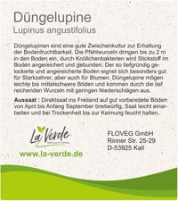 La Verde Kék Csillagfürt Vetőmag 1000g - Talajjavító Növény, Fagyálló, Magas Csírázási Arány, Kertészkedéshez, GMO-mentes 2