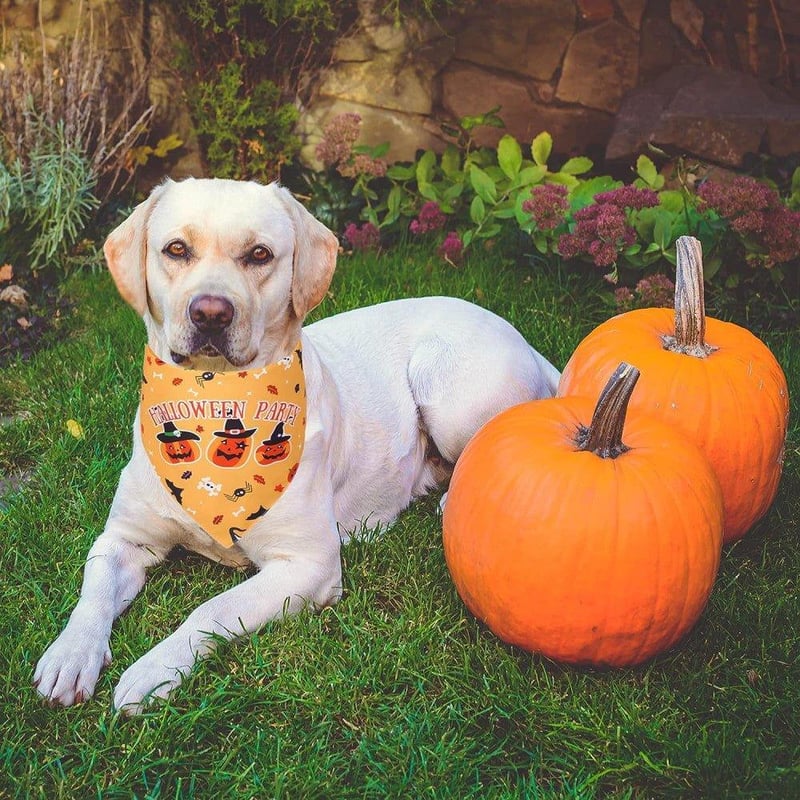 Tappancs Halloween Nyakkendő Szett Kutyáknak - 2db Kétoldalas Csokornyakkendő