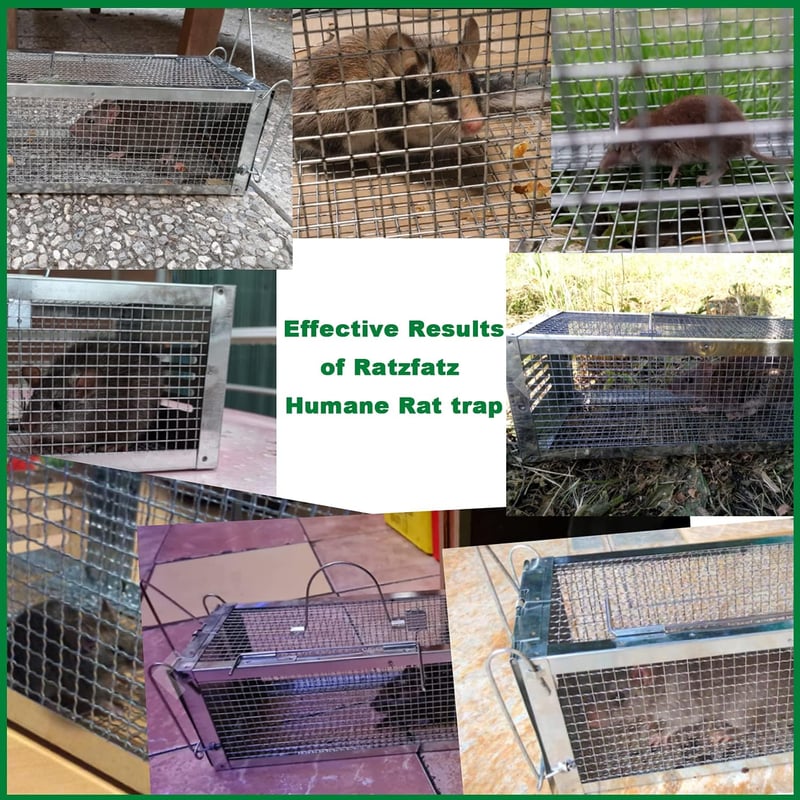 RatzFatz 2 db Élő Csapda Premium Egér és Patkány Csapda Nagy XL Méret