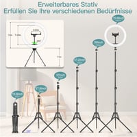 daphomeu 10 Colos LED Körfény Állvánnyal és Dupla Telefontartóval - 3 Színű, 10 Fényerőszintű Szelfi Gyűrűlámpa Távirányítóval YouTube, TikT 6