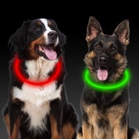 Aicharynic LED kutyanyakörv, 2 db, USB tölthető, vízálló, 3 fénymód 1