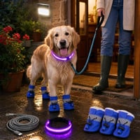 Bezpečnostný balík na večerné venčenie: LED obojok + vodítko + 4x topánky + reflektor + USB kábel 1