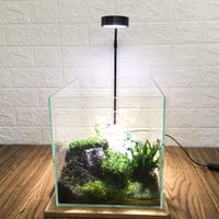 DELITLS USB-s LED Akvárium Lámpa, 10W Teljes Spektrumú, Bambusz Talppal, Nano Akváriumokhoz és Növényekhez 7