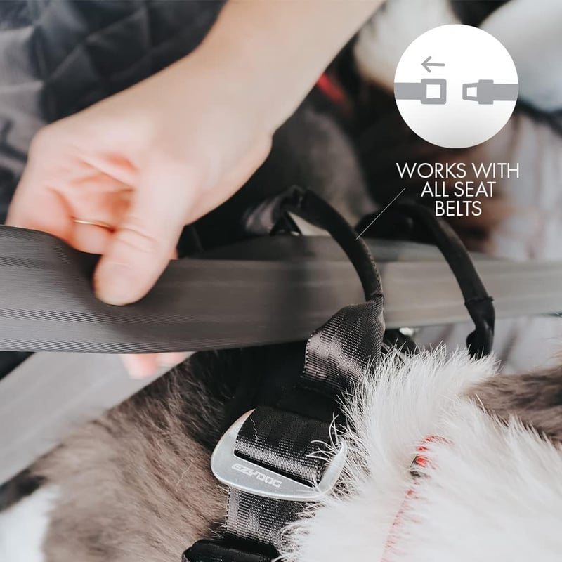 EzyDog autós biztonsági hámok kutyáknak - Ütközéstesztelt, fekete, M méret
