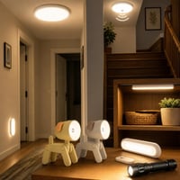 Balík osvetlenia: 2x stropné svietidlo + senzor + 2x nočná lampa + svetlo do skrine + baterka 1