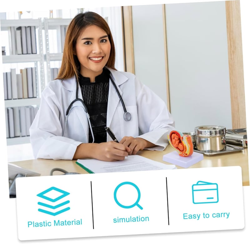 Healeved Anatómiai Magzat Modell - Élethű Méh és Embrió Szemléltető Eszköz Orvostanhallgatók és Szülésznők Számára, 12x11x11 cm, PVC