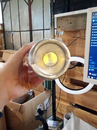 SIGG Shield Therm One Jungle gyerek szigetelt kulacs 0,5 L - rozsdamentes acél — horpadt, vízköves, karcos (állapot: lásd a 2. képet) 6