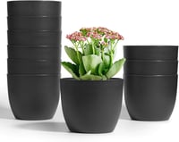 T4U 12 cm-es önöntöző virágcserép szett, 10 db fekete kaspó orchideákhoz, fűszernövényekhez 1