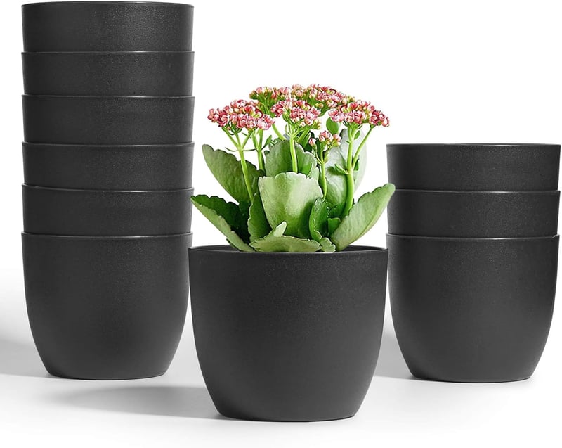 T4U 12 cm-es önöntöző virágcserép szett, 10 db fekete kaspó orchideákhoz, fűszernövényekhez