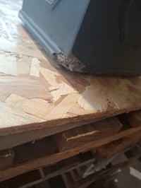 Štvorcový betónový kvetináč Kante s motívom leva, 2 ks, 25,4 a 32,8 cm — menší je na viacerých miestach poškodený (stav: pozri 2. obrázok) 4