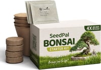 Bonsai Nevelő Készlet 4 Fajta Maggal - Ajándék Szett Útmutatóval 1