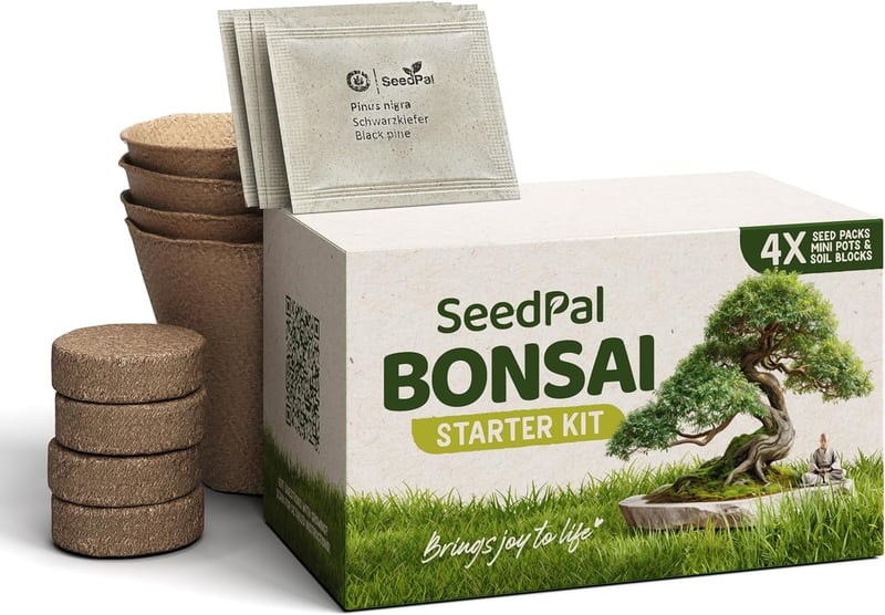 Bonsai Nevelő Készlet 4 Fajta Maggal - Ajándék Szett Útmutatóval