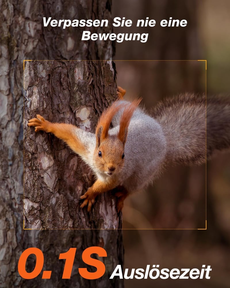iZEEKER 4G vadkamera 2K felbontással, láthatatlan LED-ekkel és SIM kártyával