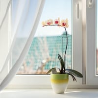 Reagia 40 cm-es acél növénytámasz, 10 db - virágokhoz, zöldségekhez 4