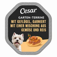 Vlhké krmivo pre psov Cesar Garten-Terrine s príchuťou hydiny, zeleniny a ryže, 7 misiek (7 x 150 g) — set 7 ks 1