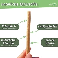 Scrupmi Miswak természetes fogkefe szett - 4 db, vegán, újrahasználható 2