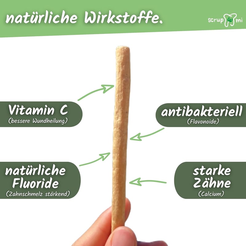 Scrupmi Miswak természetes fogkefe szett - 4 db, vegán, újrahasználható