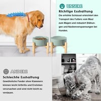 SPUNKYJUNKY Kerámia Emelt Etetőtál Szett Bambusz Állvánnyal Kutyáknak és Macskáknak - 850 ml Űrtartalmú Tálak, Világoszöld, Állítható Magass 4