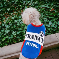 Francia Válogatott Mintás Kutyamellény - Könnyű, Kényelmes Háziállat Mez 5