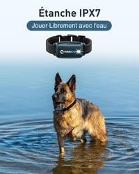 ABBIDOT Kutyakiképző Nyakörv - Éjszakai LED, 4 Tréning Mód, Újratölthető Ugatásgátló Távirányítóval, Kis és Nagy Kutyáknak (6-55 kg) 6
