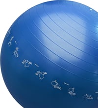PROIRON 65cm-es Rózsaszín Fitnesz Labda Pózrajzokkal, Pumpával 8