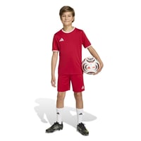 Detské šortky adidas Entrada26 – Team Power Red 2/biela, veľkosť 15-16 rokov, unisex futbalové šortky 2