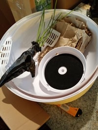 Litieră pentru pisici Lifewit XXL tip ghiveci, albă, cu filtru de carbon și lopățică, 48x48x50 cm, dimensiune mare, toaletă pentru pisici cu sistem de neutralizare a mirosurilor 2