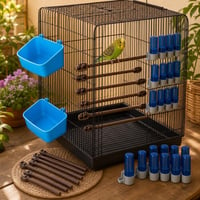 Set confort papagali: 10x stinghii + 2x cădițe baie + dozatoare hrană/apă 1