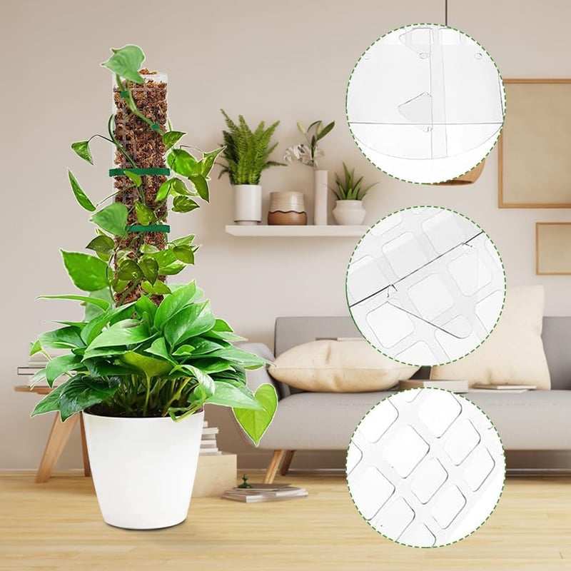 AIQII Mohabot Támasztórúd Szett 6 db 61 cm Monstera Kúszónövény Támasz Átlátszó Műanyag Karóval és Rögzítőkkel