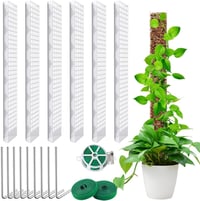 AIQII Mohabot Támasztórúd Szett 6 db 61 cm Monstera Kúszónövény Támasz Átlátszó Műanyag Karóval és Rögzítőkkel 1