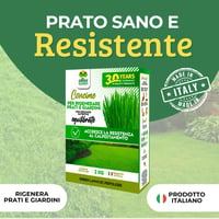 Îngrășământ pentru gazon Albagarden 2 kg - Îngrășământ granulat pentru gazon și semințe de iarbă - Hrană pentru toate tipurile de iarbă, peluze și gazon rulou 2