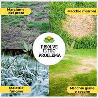 Îngrășământ pentru gazon Albagarden 2 kg - Îngrășământ granulat pentru gazon și semințe de iarbă - Hrană pentru toate tipurile de iarbă, peluze și gazon rulou 4