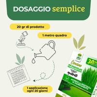 Îngrășământ pentru gazon Albagarden 2 kg - Îngrășământ granulat pentru gazon și semințe de iarbă - Hrană pentru toate tipurile de iarbă, peluze și gazon rulou 3