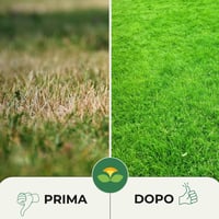 Îngrășământ pentru gazon Albagarden 2 kg - Îngrășământ granulat pentru gazon și semințe de iarbă - Hrană pentru toate tipurile de iarbă, peluze și gazon rulou 5
