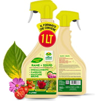 Albagarden Réz-Kén Spray 1L - Növényi Betegségek Ellen, Penészedés és Foltosság Kezelésére 1