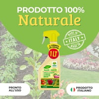 Albagarden Réz-Kén Spray 1L - Növényi Betegségek Ellen, Penészedés és Foltosság Kezelésére 2