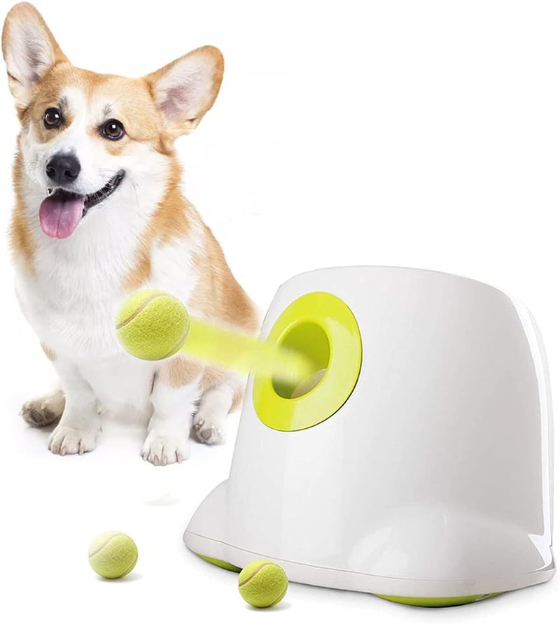ALL FOR PAWS Automata Labdakilövő Kutyáknak - Interaktív Játékgép 3 db Teniszlabdával, Kis és Közepes Kutyafajtáknak, Hordozható

AI: ALL FO
