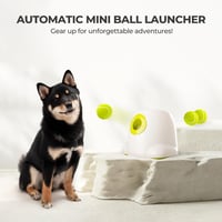 ALL FOR PAWS Automata Labdakilövő Kutyáknak - Interaktív Játékgép 3 db Teniszlabdával, Kis és Közepes Kutyafajtáknak, Hordozható

AI: ALL FO 7