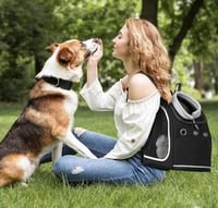ALLSOPETS Kisállat Hordozó Hátizsák - Légáteresztő Utazótáska Kistestű Kutyáknak és Macskáknak, Kényelmes Kirándulózsák, Szénfekete 2