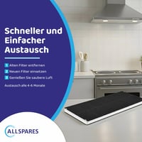 Filtru de carbon activ AllSpares pentru hotă - Bosch DHZ3406, DHZ3405, Siemens LZ34500, Neff Z5143X0, Constructa CD53030 - 420x165x30 mm 6