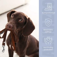 alphazoo Pungi pentru excremente câini 600 buc. Roz - Pungi biodegradabile și compostabile - Rezistente la rupere și mirosuri - Ecologice - 30 buc./rolă 5